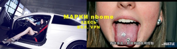 ешки Аркадак