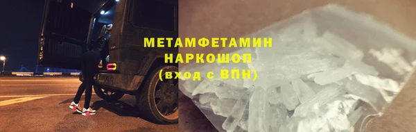 ешки Аркадак