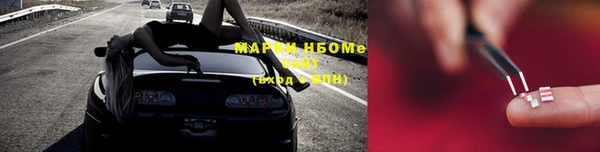 ешки Аркадак