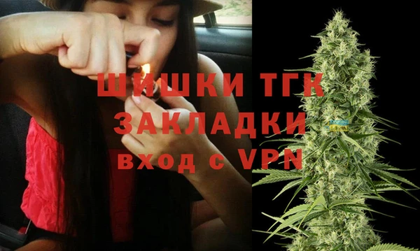 ешки Аркадак