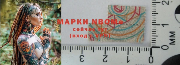 ешки Аркадак